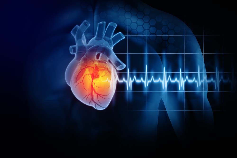 illustration of a heart with lines showing its rhythm next to it.