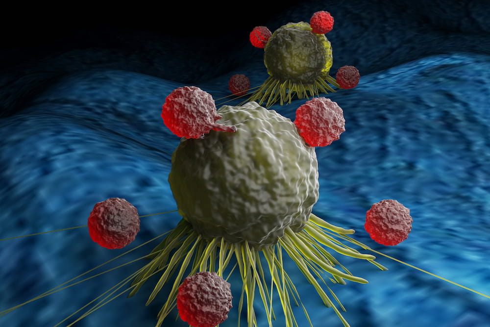 T cells attacking cancer cells. Image by Meletios Verras. Licensed from istockphoto.com