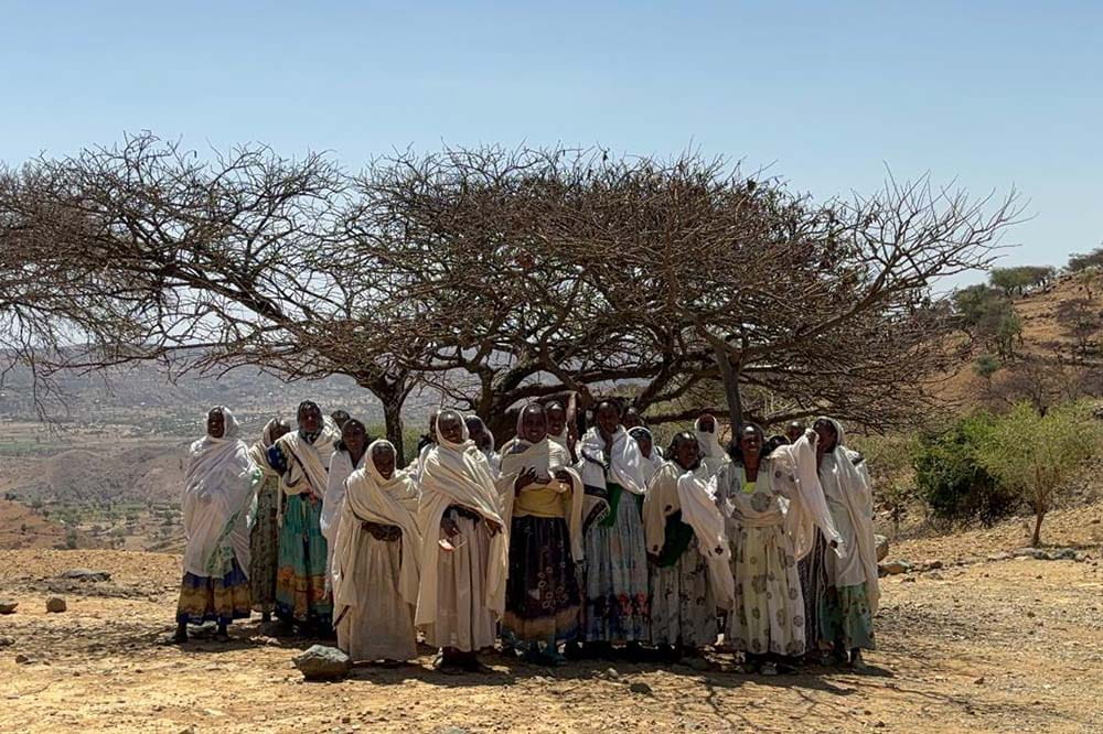 Group of people stand in front of a tree.