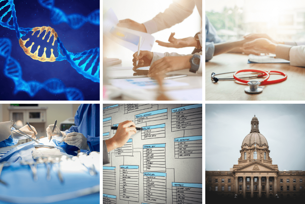 Six photos next to one another. A strand of DNA, hands
holding other hands with a stethoscope on the table, a surgery with two pairs of hands and surgical knives, a governmental building and a hand writing something into a table on a wall.